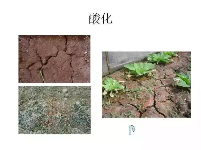 土壤调理剂|土狼土壤调理剂|地姆灵土壤调理剂|中环科技