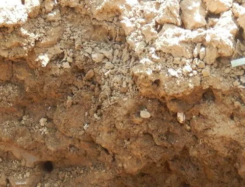 土壤调理剂|土狼土壤调理剂|地姆灵土壤调理剂|中环科技